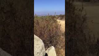 This is No Ordinary Life!