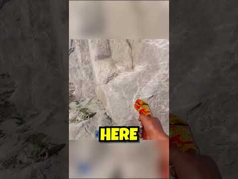 WELCOMING THE CHINESE CLAN #rust