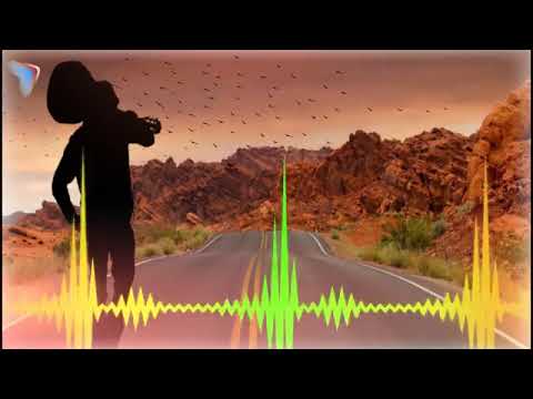 Music Modão Sertanejo _ Top Modão Raiz Sertanejo Brasil _ Modão Brasil🤠