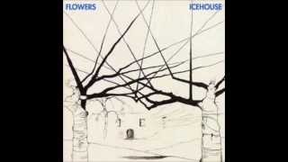 Flowers (later Icehouse) -  &quot;Not My Kind&quot;