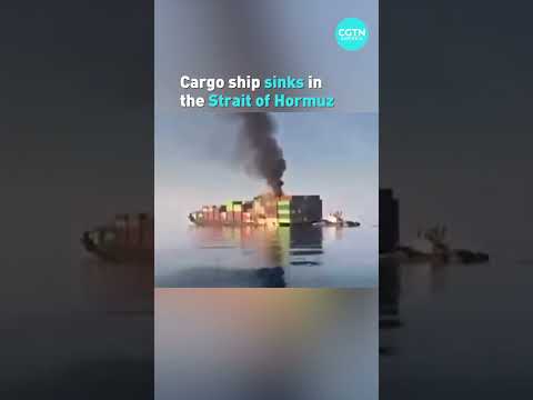 Cargo ship sinks in the Strait of Hormuz