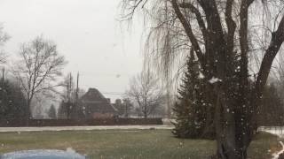 One small request Ricky Eat Acid