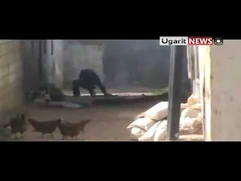 اشتباكات بين كتيبة ثوار البياضة وقوات النظام في البياضة