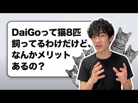 猫を飼う様々なメリットについて