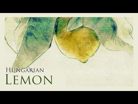 Lemon (Kenshi Yonezu) Hungarian cover by Namito