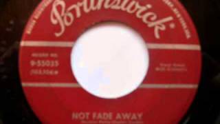 The Crickets..Not Fade Away