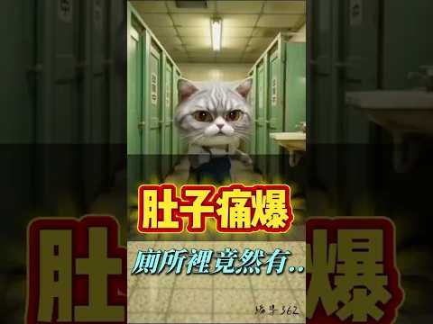 巴蕊大廁驗