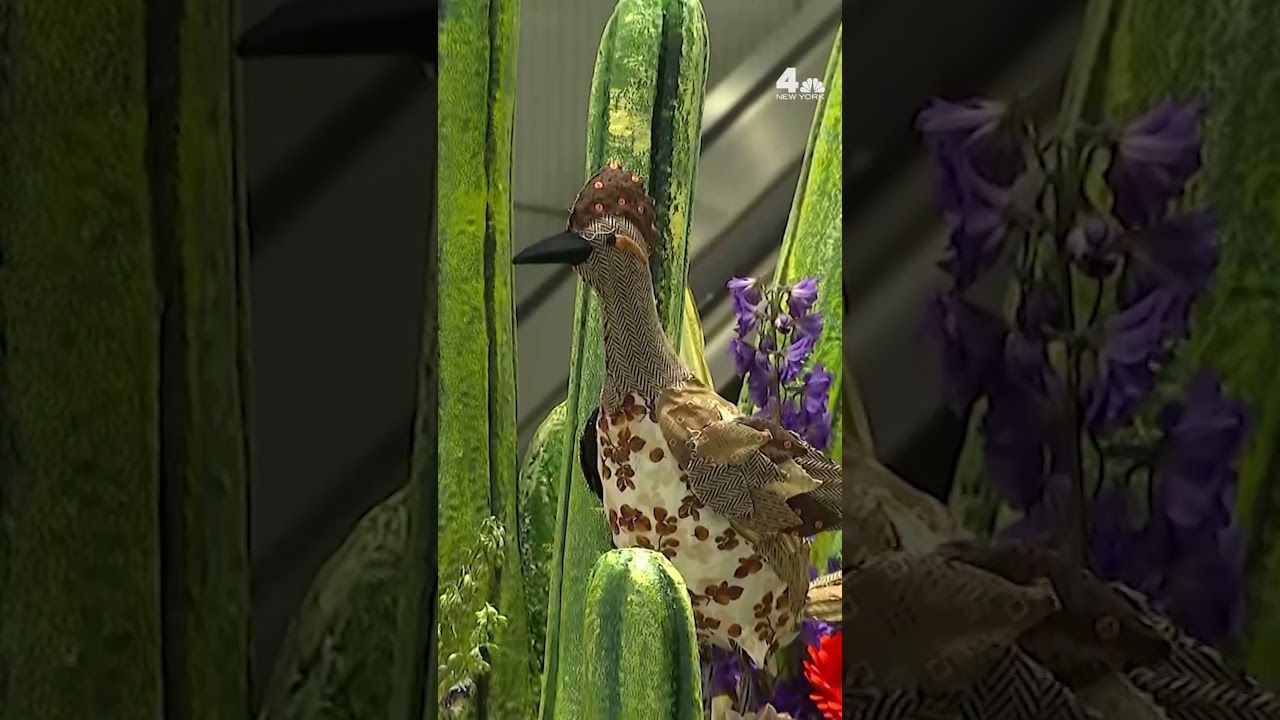 Macy's Flower Show at Herald Square flagship in full bloom | NBC New York