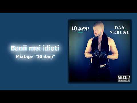 Dan Nebunu - Banii mei (Audio)