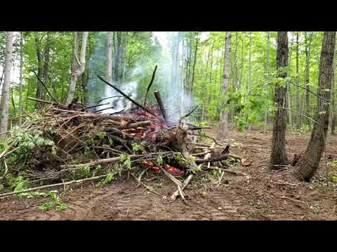 clearing the west side pasture.