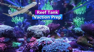 How To Prepare Your Saltwater Aquarium Reef Tank before your Away on Vacation