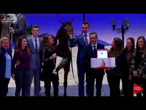 3 rd Place  N.24 BELLADONNA AT - Paris 2017 - Junior Fillies Championship (Class CM8)