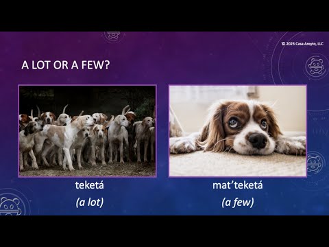 Let's Talk Taíno 89 - A lot or A few?