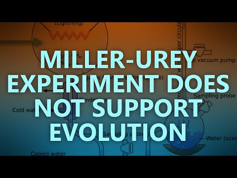 Evidence against evolution the Miller-Urey experiment