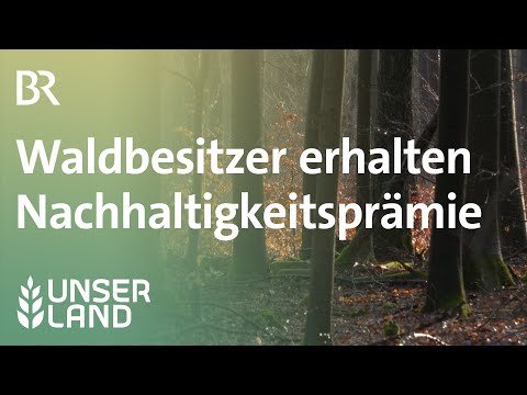 Waldbesitzer bekommen Nachhaltigkeitsprämie | Unser Land | BR Fernsehen