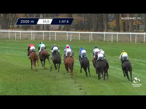 13.11.2022 - (Dzień 46; Gonitwa 7)