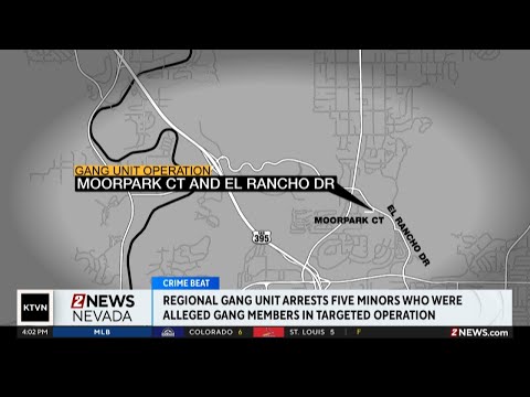 Five arrested in Gang Unit operations