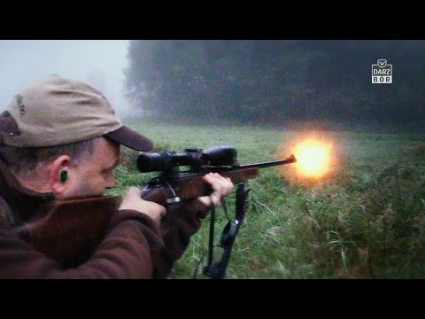 Darz Bór odc. 115 - Polujemy z myśliwymi z Norwegii