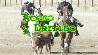 preview picture of video 'Ciudad Rodrigo  -Acoso y derribo  -3 agosto 2013'