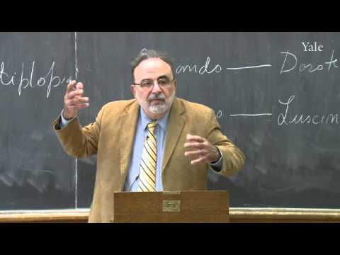 Don Quixote, Part I: Chapters XXI-XXVI (cont.)