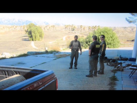 TDW 1295 - When You Think You're Going To Jail