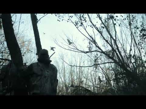 Introducing Fasteel+ the next generation of waterfowl ammunition from Kent Cartridge.