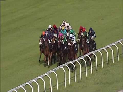 2017.05.28 Premio Nogara (ITA) - Lady Ramon