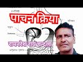 पाचन क्रिया Pachan Kriya Ramnareshrai278 Youtube Channel