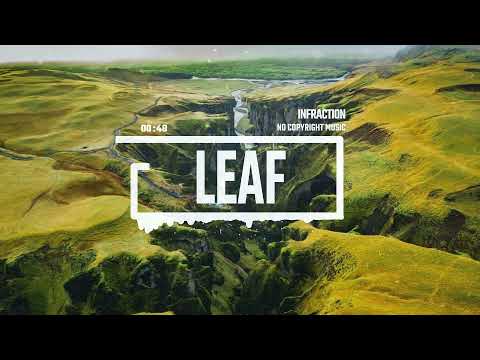 Cinematic Nature Drone Documentary by Infraction [No Copyright Music] / Leaf