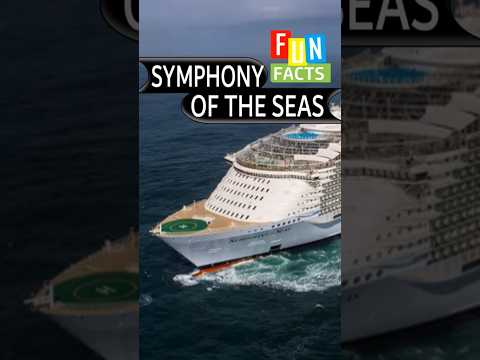 Thumbnail for I Wish I Knew This Before I Cruised on Symphony of the Seas. #holiday #cruise #travel
