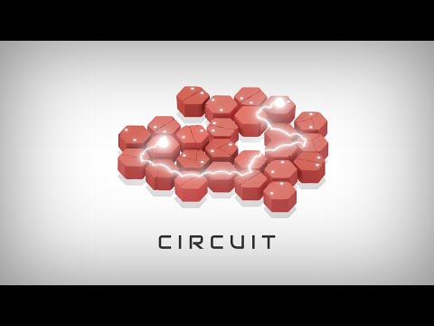 Circuit Puzzle