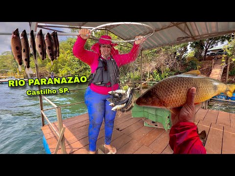 Pescaria de Piau e Piapara no Rio Paranazão, Cidade de Castilho SP.