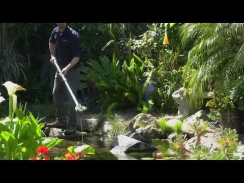 Watch Video on YouTube