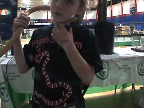 YouTube Video oeE5b3RdH5I