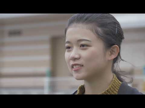 芝生や庭でカタバミと戦うにはどうすればよいですか？有機栽培についての誠実な答え!  庭園