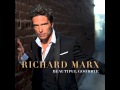 Richard Marx "Beautiful Goodbye" 