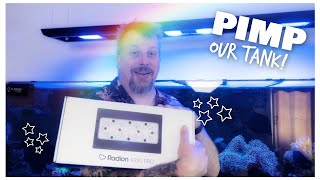 Pimp Our Tank! New Radion & Corals | Red Sea Reefer 900 3XL | 240 gallon Mixed Reef Tank Update