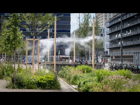 COOLING AND REVITALISING URBAN SPACES. Natural fog to mitigate heat island effect