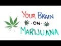 Your Brain on Drugs: Marijuana 