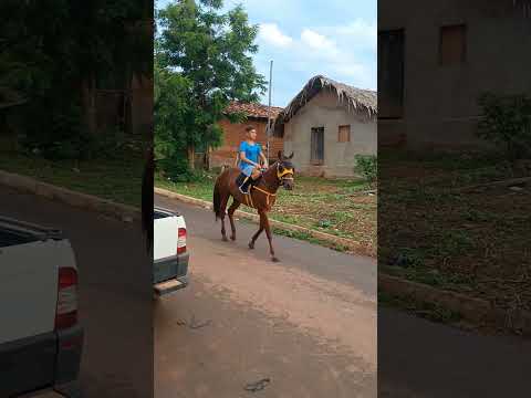 jóquei do povoado Cocos município de Benedito leite Maranhão