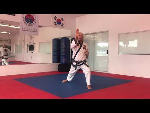 Yellow Belt One Step Sparring Techniques