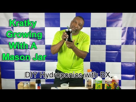 DIY Kratky Hydroponic Growing Unit with a Mason Jar