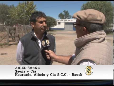 Hourcade Albelo y Cía. S.C.C. - Nota Ariel Saenz - Rauch - 20/02/2015