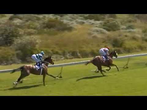 SILVANO'S PRIDE - Victress Stakes 19/12/20