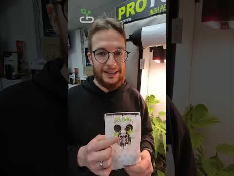 CO2 BAG - углекислый газ СО2 для растений от ORANGE TREE #shorts #co2bag #orangetree