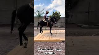 tú mal amor - grupo laberinto