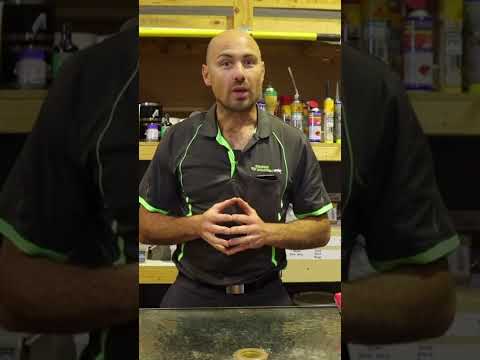 Where Do I START with DIY Pest Control? 🤨