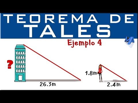 Teorema de Tales | Ejercicio de aplicación 4