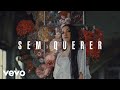 Priscilla Alcantara - Sem Querer (Pseudo Video) Priscilla Alcantara - Sem Querer (Pseudo Video)
