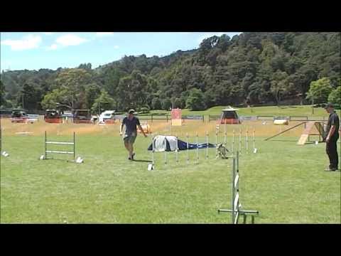 Haze Senior 8th place